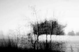 Nature Abstract Photography Black And White Abstract Photography Art Photography Abstract Photographs