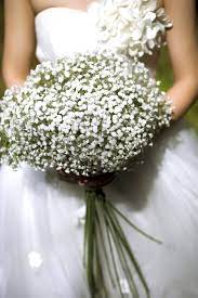 We did not find results for: Brautkleider Home Facebook