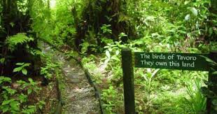 Tavoro Waterfalls Bouma National Heritage Park Taveuni Fiji National Parks Fiji Park
