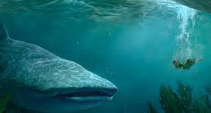 Ikan nun sebening mata air. Inilah Kisah Nabi Yunus Ditelan Ikan Besar Yang Diabadikan Dalam Alquran Mantra Sukabumi