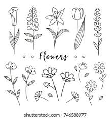 We did not find results for: Hand Drawn Flower Vector Elements Stock Vector Royalty Free 746588977