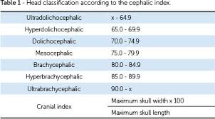 Brachycephalic Dolichocephalic And Mesocephalic Is It