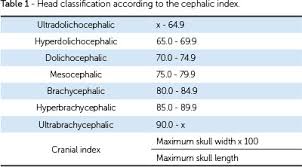 brachycephalic dolichocephalic and mesocephalic is it