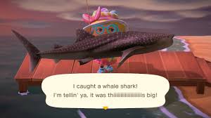 It could've swallowed me up!. Animal Crossing New Horizons How To Catch Whale Shark