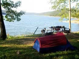 These are called dispersed camping areas and are identified on new motor vehicle use maps (mvum) published and distributed free both online and at ranger stations. Nct Allegheny National Forest