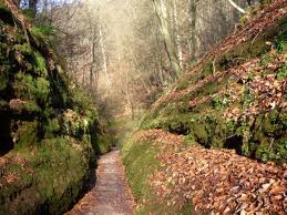 We did not find results for: Die Drachenschlucht Bei Eisenach Mit Wartburg Und Landgrafenschlucht