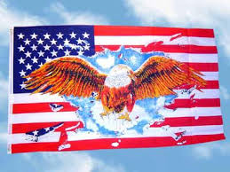 Check spelling or type a new query. Fahne Flagge Amerika Usa Mit Adler 150 X 90 Cm Kaufen Bei Td Vermarktungs Gmbh U Co Kg