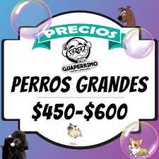 Guaperrimo Estetica Canina Movil Inicio Facebook