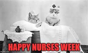 Happy Nurses Week Memes