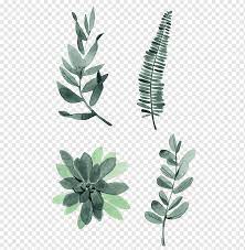Cactaceae Drawing Succulent Plant Hand Painted Plants Watercolor Painting Leaf Aesthetics Png Pngwing I was on pinterest these days, and i found a pic from these two smothies, and i wanted to draw them in my style.
