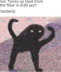 Angry Bacteria Funny Relatable Memes Stupid Memes Stupid Funny Memes