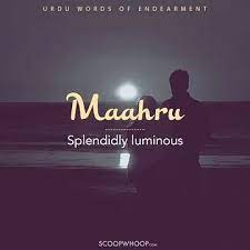 Here karta will be used if the speaker is male and karti if the speaker is premchandwas a great writer of hindi. 14 Beautiful Urdu Words For Love 14 Urdu Words With Meanings