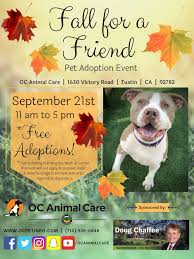 They have done wonders with our rosie who is a. Oc Animal Care On Twitter It S Almost Time For Our Fall For A Friend Adoption Event This Saturday We Are Having Free Adoptions Sponsored By Orange County Supervisor Doug Chaffee We Hope
