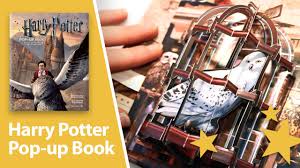 The themes and adventures of the harry potter series are a bit too advanced for preschoolers and the younger crowd in elementary school. Harry Potter A Pop Up Book Amazing 3d Pop Ups Youtube