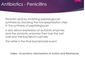Image result for Extended Spectrum Penicillin