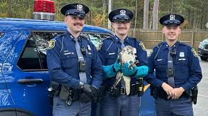 Image result for Michigan State Police Blue 2018 Fleet