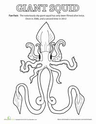 Maybe you would like to learn more about one of these? Giant Squid Fun Fact Worksheet Education Com Giant Squid Coloring Pages Squid Crafts For Kids