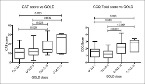 Image result for COPD Assessment Test