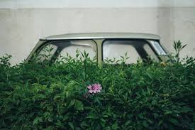 Locuri de munca in baia mare din toate domeniile. Fotografia Se Vede Mai Bine La Baia Mare La Prima EdiÈ›ie A Salonului European De Fotografie Modernism