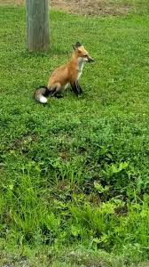 Pin On The Most Beautiful Adorable Board