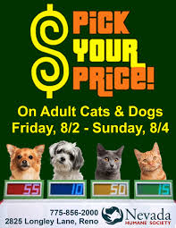 Special Pet Adoption Promotion When Shelters Become Crowded Dog Marketing No Kill Animal Shelter Animal Shelter