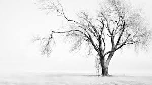 Maybe you would like to learn more about one of these? White Pc Wallpapers 4k Hd White Pc Backgrounds On Wallpaperbat