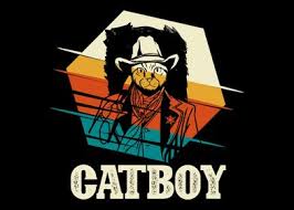 I watched cowboy bebop a few months ago and i was actually not quite sure what to think about it. Catboy Cat Cowboy Western Poster By Ankarsdesign Displate