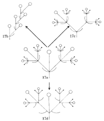 Image result for Virectaria