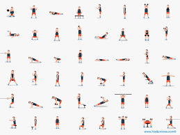 Learn How To Gym In One Gif Workout Apps Workout Moves Workout Videos