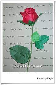 作品名稱捲心玫瑰cabbage rose 回覆網友在摺紙教學花萼3 捲心玫瑰花萼cabbage rose calyx 一篇的玫瑰摺法 捲心玫瑰是一位熱心 不藏私的網友