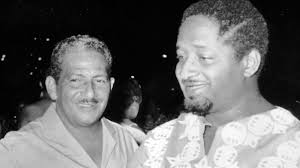 American' Black Power movement was also active in the Kingdom of the  Netherlands