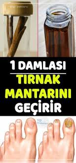 Semra Kiraz Adli Kullanicinin Bilgi Panosundaki Pin Mantar Saglik Saglik Ipuclari