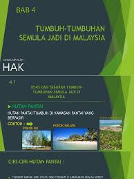Selangor juga antara negeri pantai barat yang mempunyai pantai yang berselut dan berlumpur. Geografi Tingkatan 3 Bab 4
