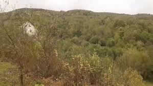 Yer bulmada kolaylık ve muhteşem fiyatlar. La Stupina Lu Ion Posts Facebook