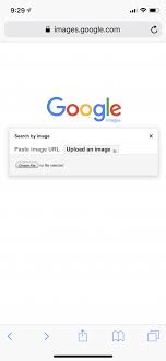 How To Reverse Image Search On An Iphone And Why You Might Want To Use These Third Party Apps Instead Of Google Images