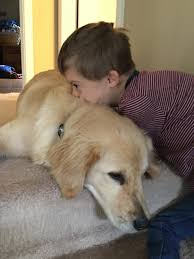 Dogs with down syndrome images. Boy With Down Syndrome Autism Gets A Service Puppy