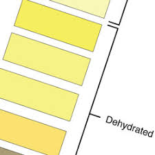Hot Work You Need A Urine Color Chart The Safety Brief