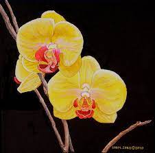 However, when given rich depth or startling brightness, the hues provide an exterior color scheme that's. Yellow Orchids Painting By Carol Sabo