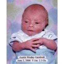 Austin Wesley Gambrell Obituary 2006