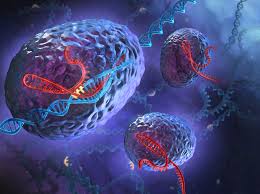 This site is using cookies under cookie policy. Animal Cell Under Light Microscope Observation