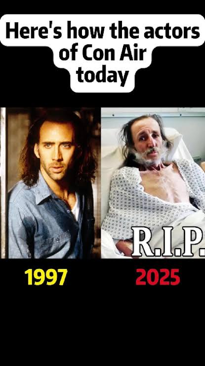 Con Air Cast Today: Where the Actors Are Now