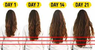 7 Foods You Need To Accelerate Your Hair Growth Beauty Musely Tip Accelerate Hair Growth Growing Long Hair Faster Make Hair Grow Faster