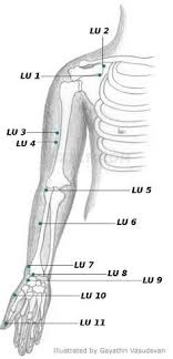 Acupressure Points Chart Acupuntura Acupressure Points