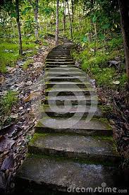 Old Staircase In The Middle Of The Forest Old Stairs Mossy Stairs In The Forest Stairs In The Forest Staircase Forest