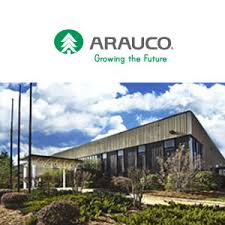 Make your decorating or remodeling project unique with this arauco radiata pine nickel gap ship lap board. Arauco Acquires Suddekor Laminate Paper Plant For Tfl Panels Woodworking Network