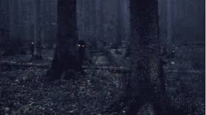I Got Scared Way More Than I Should Have Gif Assustador Coisas Assustadoras Fotos Sinistras