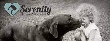 Maybe you would like to learn more about one of these? Serenity In Home Pet Euthanasia Home Facebook