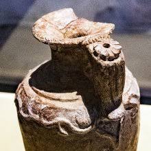 Image result for Oliverella hildebrandtii