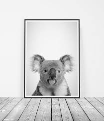 Black And White Koala Print Australian Animal Prints Australian Gifts Australian Animals Koala Wall Art Photography Print Nursery Decor Animal Nursery Art Animal Decor Koala Bear