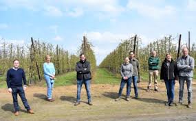Oorspronkelijk gingen we eens kijken hoe het zat met de nieuwe werken. Wandelen Tussen De Bloesems Fruitkwekers Nemen Je Mee Door Dentergem Het Nieuwsblad Mobile